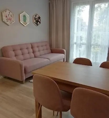 City Studio * Zhořelec